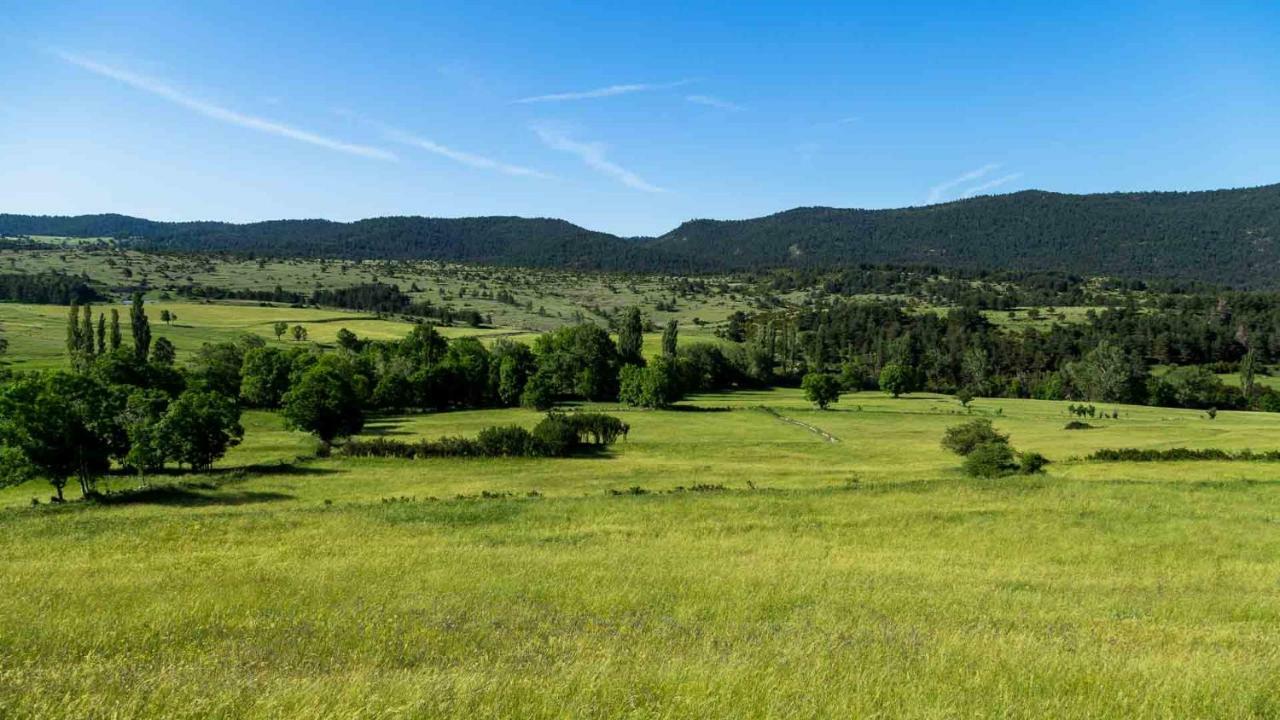 Casa Rural Cal Rossa De Taus Spa Eksteriør bilde