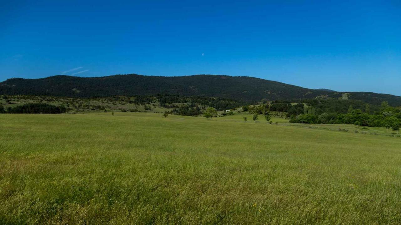 Casa Rural Cal Rossa De Taus Spa Eksteriør bilde
