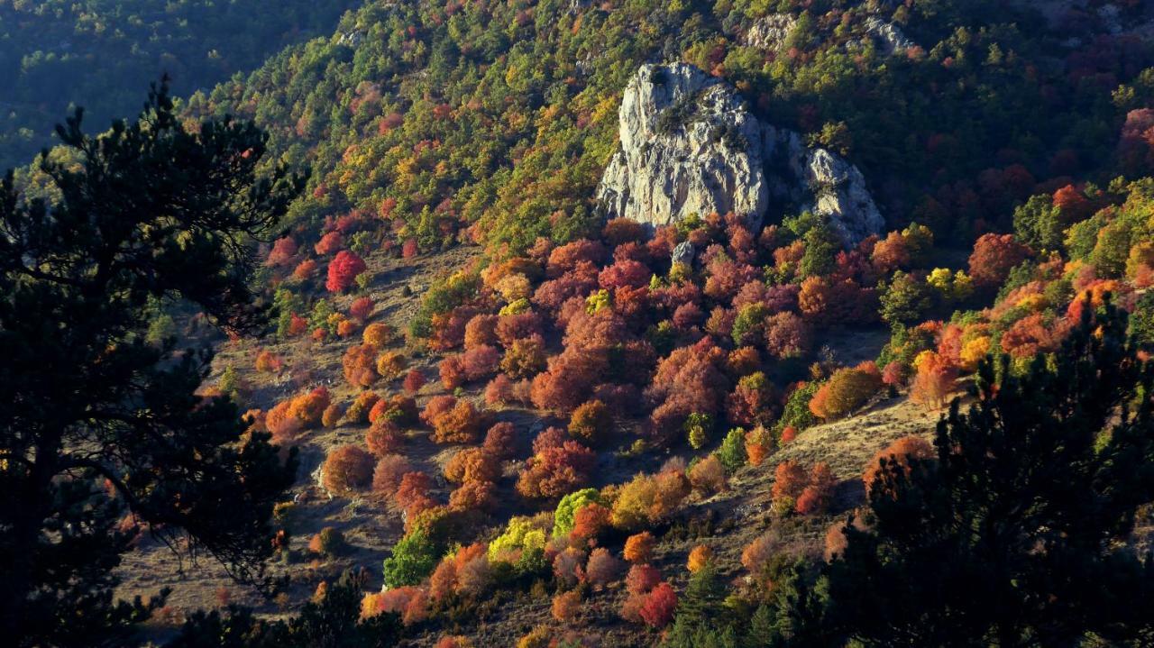 Casa Rural Cal Rossa De Taus Spa Eksteriør bilde