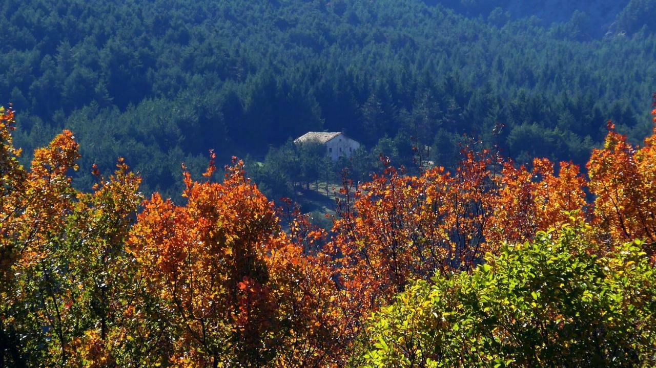 Casa Rural Cal Rossa De Taus Spa Eksteriør bilde